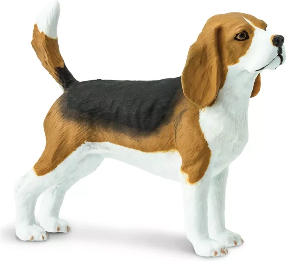 Figura di Beagle Safari Ltd.