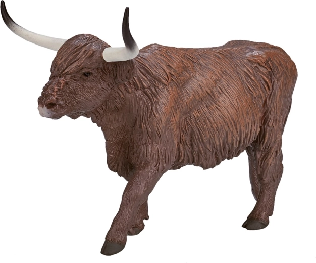 Figura del toro delle Highland scozzesi Mojo