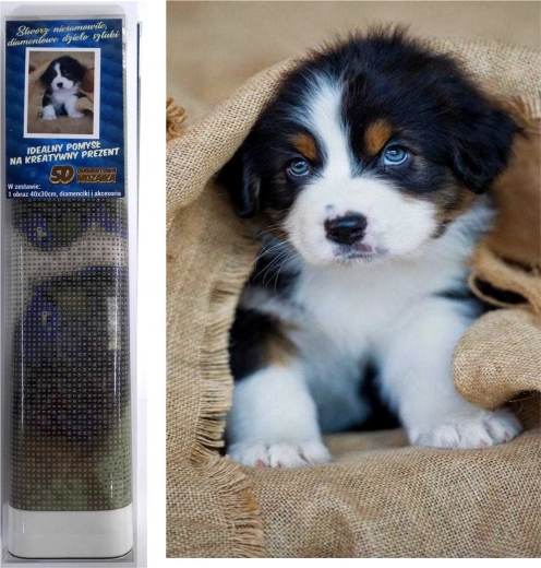 pittura diamantata cucciolo di bovaro del bernese 30 × 40 cm