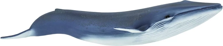 Safari Ltd. figurina di balenottera azzurra