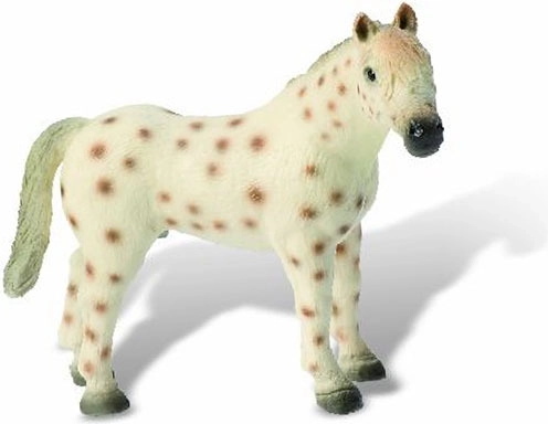 stallone Knabstrupper