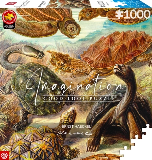 GOOD LOOT Puzzle Imagination: Ernst Haeckel – tartarughe marine, 1000 pezzi