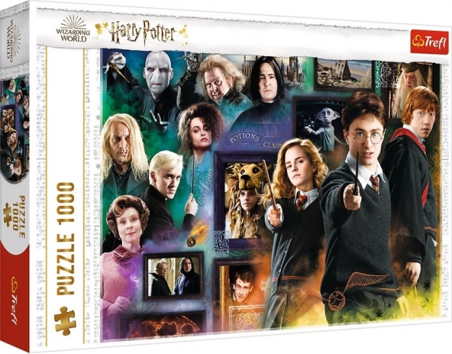 Puzzle HARRY POTTER 1000 pezzi – mondo magico