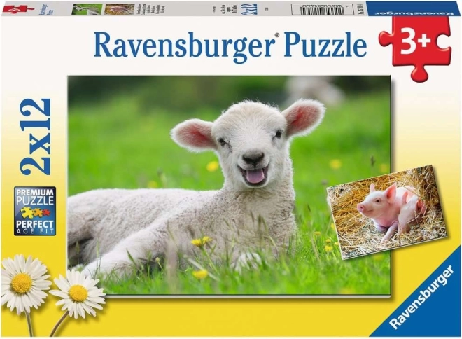 Ravensburger puzzle animali da fattoria 2×12 pezzi