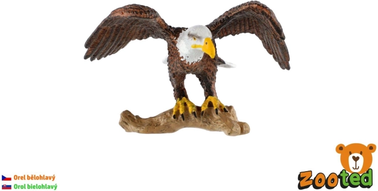 Figura di aquila dalla testa bianca