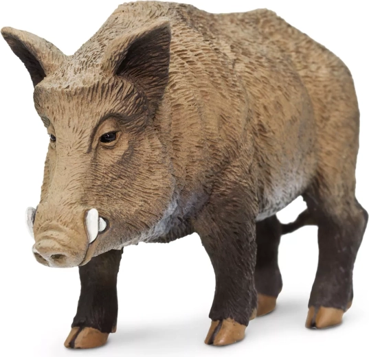 Safari Ltd. statuetta di cinghiale