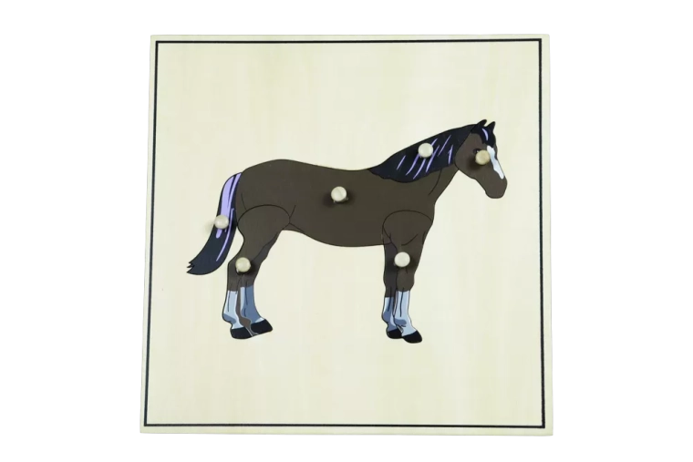 Puzzle con scheletro – cavallo
