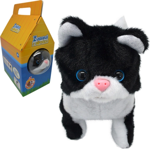 Gatta che cammina Líza con suoni