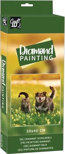 Pittura diamantata Amici nel prato 30x40 cm