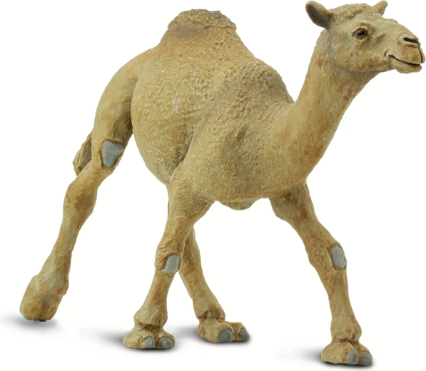 Safari Ltd. figurina di dromedario - 1 pezzo