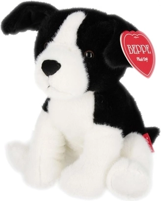 Cane border collie 25 cm