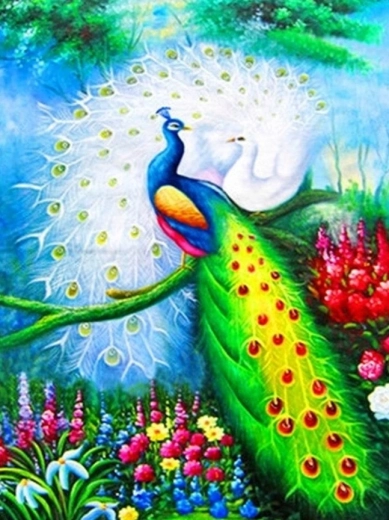 Pittura diamantata – pavoni 30 × 40 cm