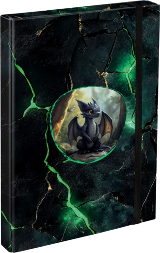 Cartelline per quaderni scolastici A4 con motivo draghi BAAGL