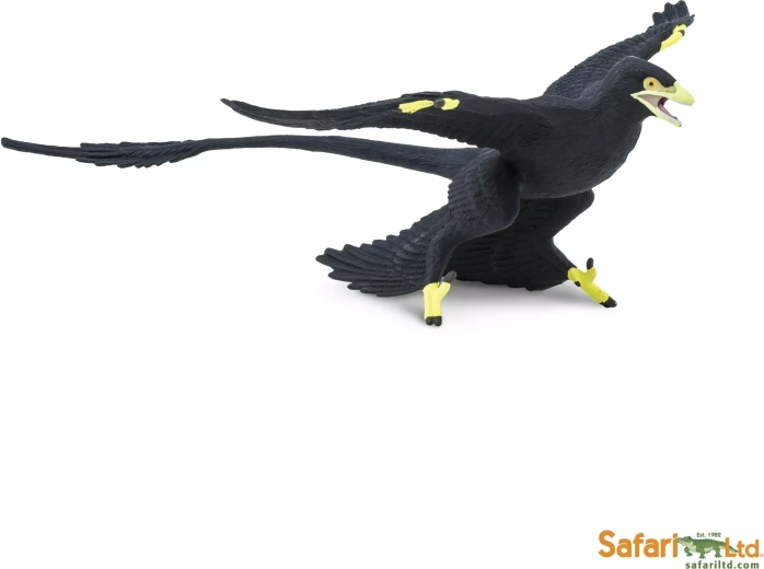 Microraptor Safari Ltd. - 1 pezzo