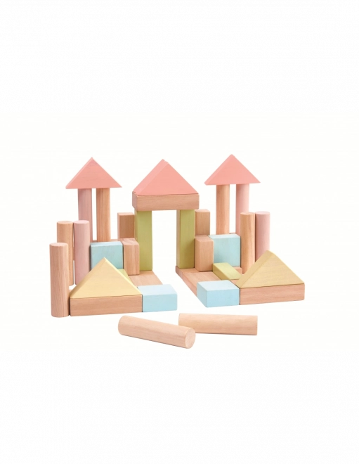 Blocchi di costruzione PlanToys 40 pezzi