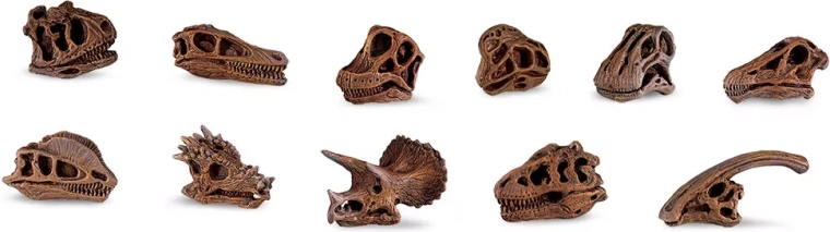 Safari Ltd. crani di dinosauro – set di mini repliche