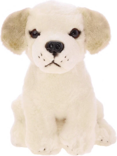 Labrador di peluche seduto