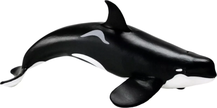 Safari Ltd. statuetta di orca (tipo D)