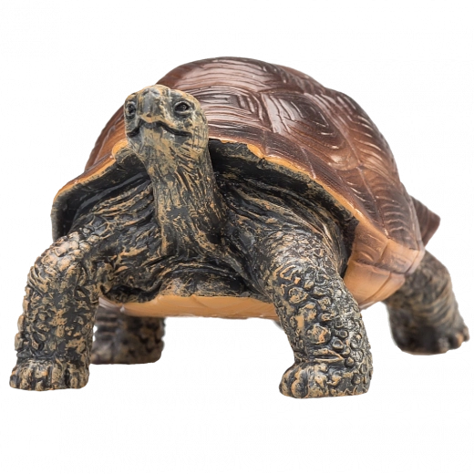 Mojo figurina tartaruga gigante – figurina animale realistica