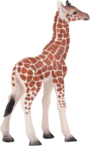 Figura realistica di giovane giraffa