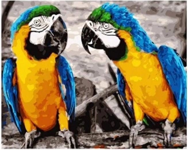Pittura diamantata Pappagalli 30 × 40 cm