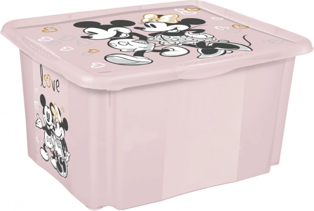 Contenitore Minnie Piccolo Rosa