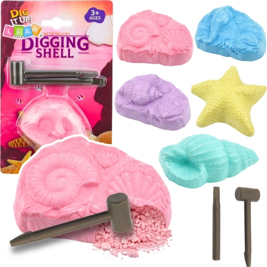 Set archeologico di fossili marini – kit di scavo con conchiglie e strumenti