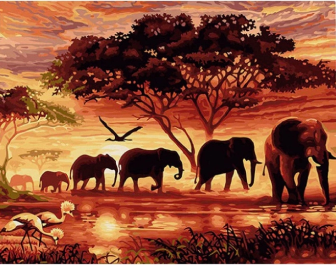 Norimpex pittura con numeri Branco di elefanti al tramonto 40 × 50 cm