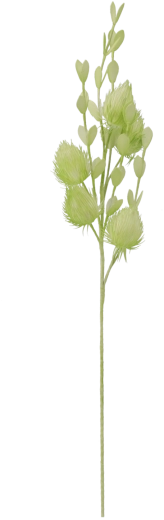 Erba decorativa 105 cm verde