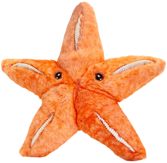 Stella marina di peluche Keeleco 25 cm