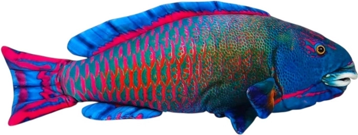 Pesce marino blu di peluche 50 cm