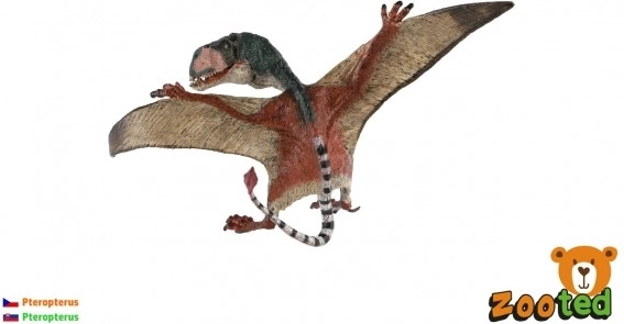 Modello di pterosauro volante