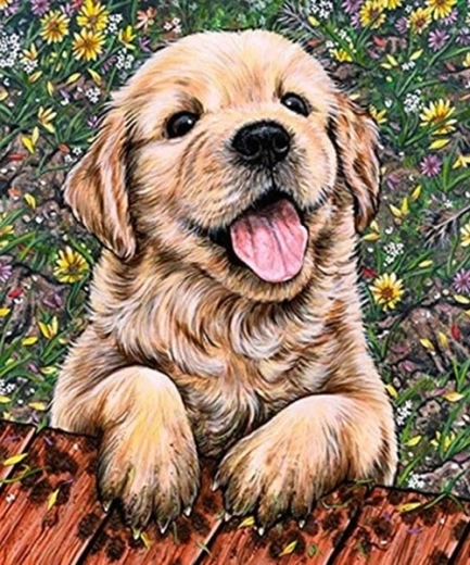 Pittura diamantata cucciolo di labrador 30 × 40 cm