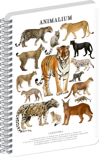 Blocco a spirale Notique Animalium – felini, A5, a quadretti