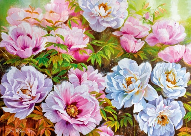 CHERRY PAZZI puzzle Peonyssimo Opus 1000 pezzi
