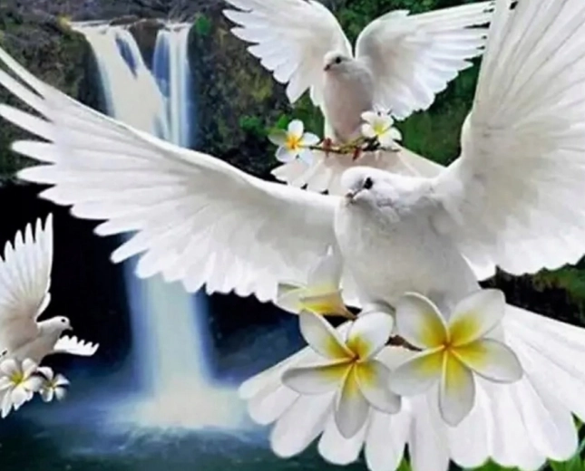 Pittura diamantata Colombe bianche 30 × 40 cm