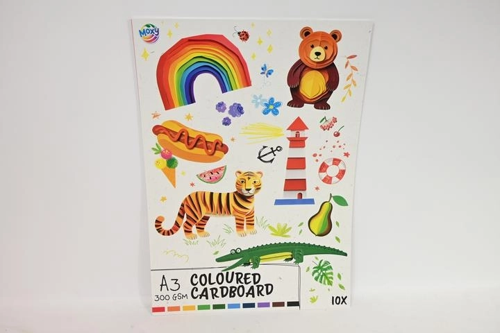 Cartoncino colorato CCG A3 10 fogli