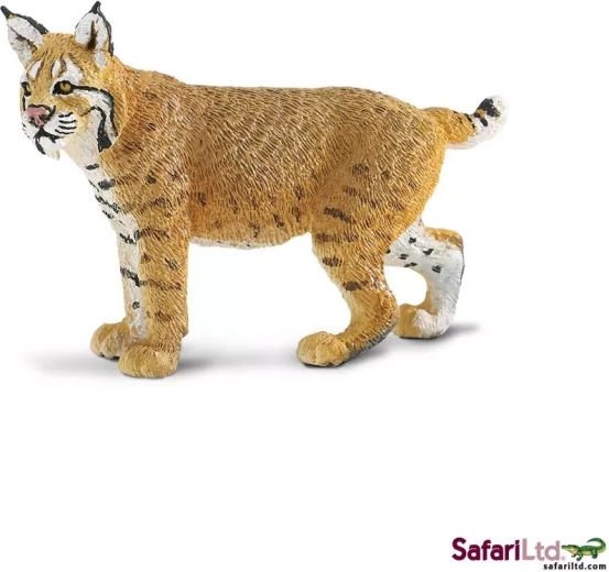 Safari Ltd. lince