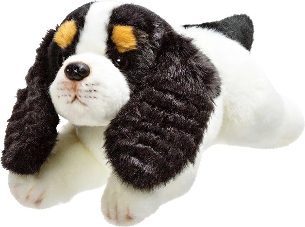 Cane di peluche Cavalier King Charles Spaniel 30 cm