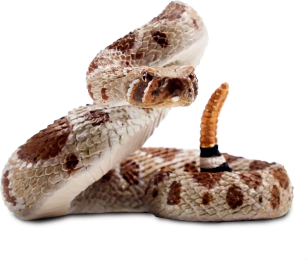 Safari Ltd. figurina realistica di serpente a sonagli occidentale