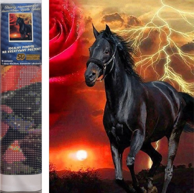 Kit per pittura diamantata - stallone nero