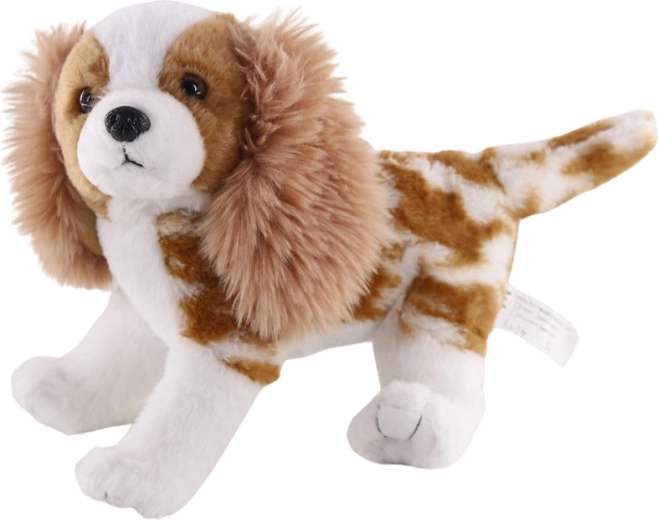 Cane di peluche Cavalier King Charles Spaniel 26 cm