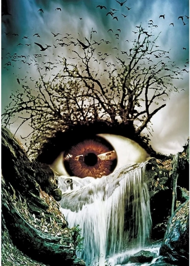 Pittura diamantata Occhio