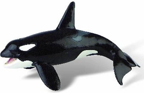 Orca