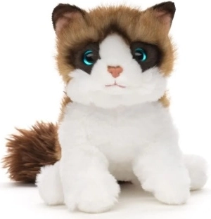 Gatto Ragdoll di peluche 18 cm