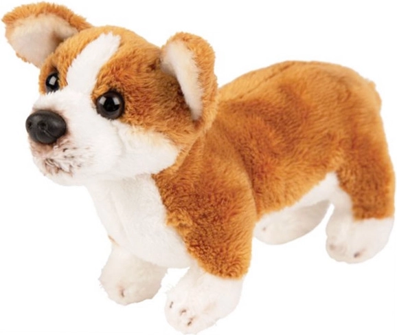 Peluche cane Corgi
