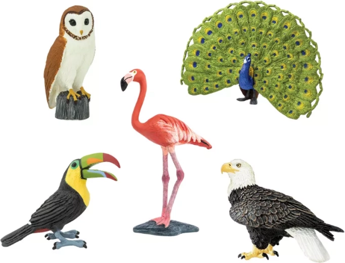 Safari Ltd. figure di uccelli - 1 pezzo