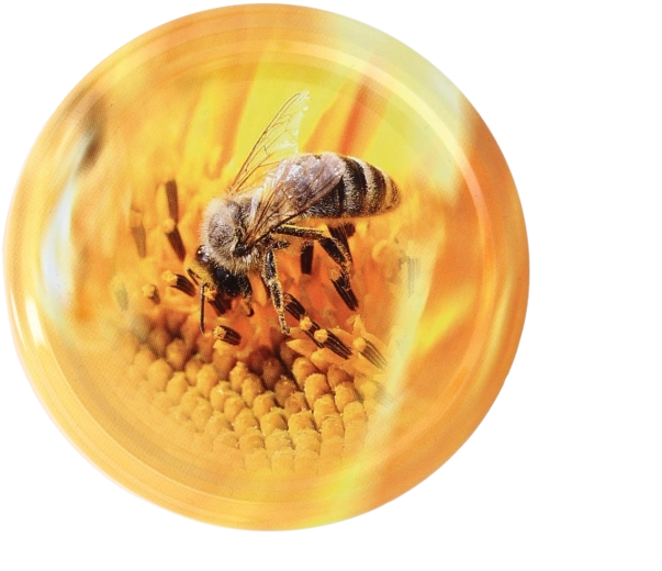 Coperchi metallici per barattoli 82 mm con motivo ape, set da 10 pezzi