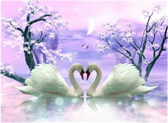 Pittura diamantata Amore di cigni 30 × 40 cm