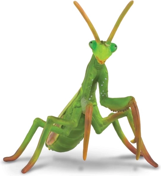 Mantide religiosa – figurina in plastica COLLECTA